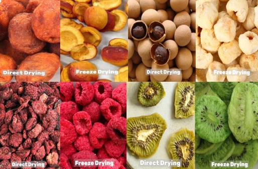 Freeze drying vs drying vs air drying Freeze drying vs drying vs air drying
